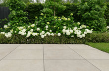 Afbeelding in Gallery-weergave laden, Cerasolid Cortona Taupe 60x60x3 cm