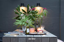 Afbeelding in Gallery-weergave laden, In-Lite Halo Down Wall 12v - Black