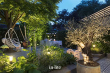 Afbeelding in Gallery-weergave laden, In-Lite Liv Solitary 12V - Dark Grey