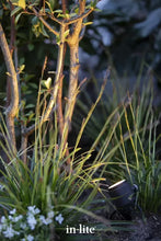 Afbeelding in Gallery-weergave laden, In-Lite Mini Scope 12V