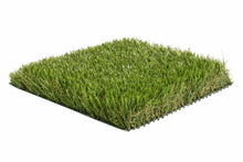 Afbeelding in Gallery-weergave laden, Madrid 40