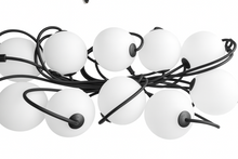 Afbeelding in Gallery-weergave laden, Sus Bulbs - String
