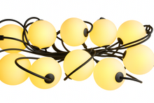 Afbeelding in Gallery-weergave laden, Sus Bulbs - String
